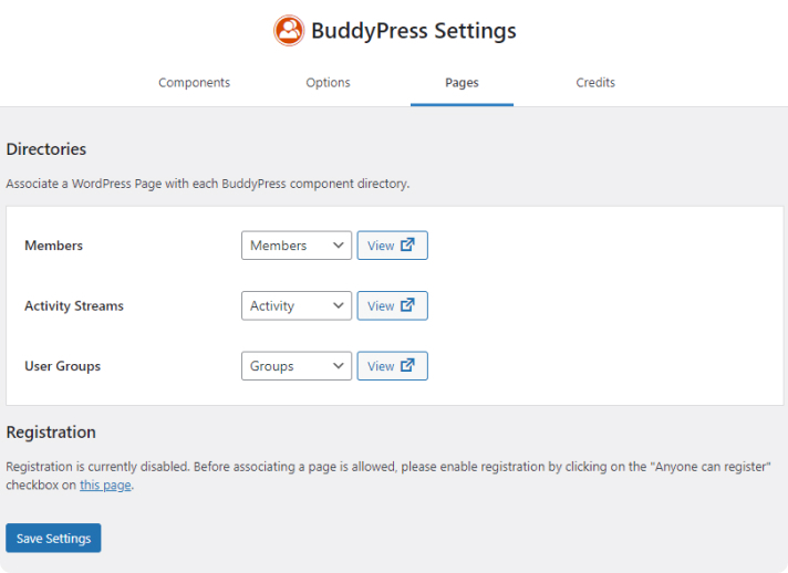 Admin Screen of the BuddyPress Pages panel